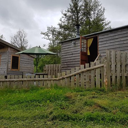 Foxglove Accommodation Крейвен-Армс Экстерьер фото
